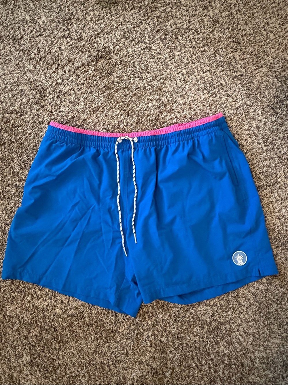 Chubbies lined swim trunks 5.5 inch inseam